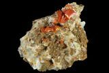 Red-Orange Wulfenite Crystals - Melissa Mine, Arizona #118994-2
